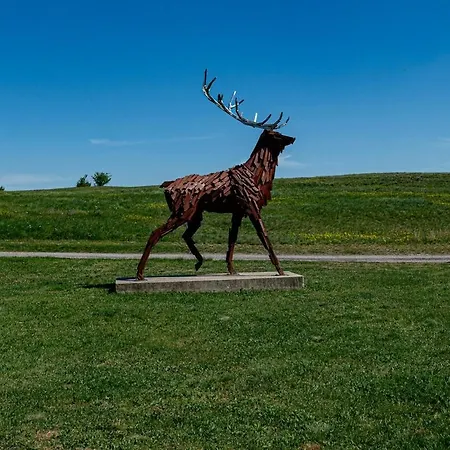 Nyaraló Bella